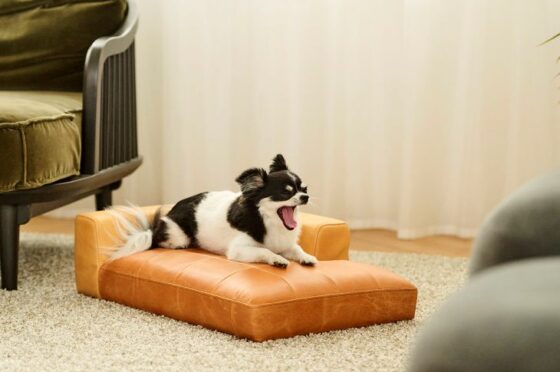 NICQQT POPUP GALLERY @KOKOROISHI東京